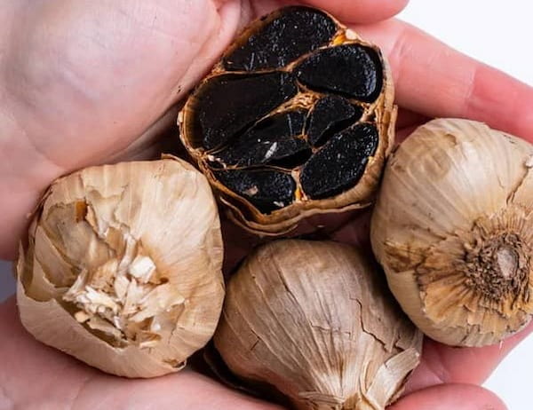 سیر سیاه درجه یک سالم برای تقویت انرژی